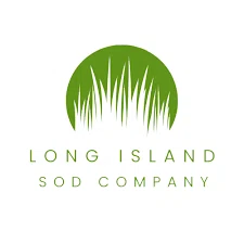 Long Island Sod