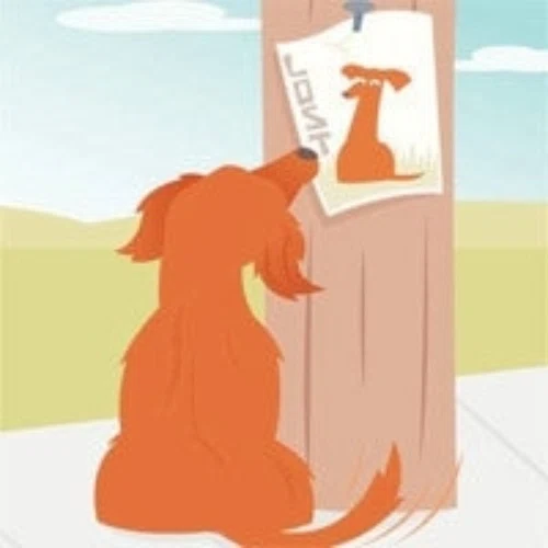 LostMyDoggie.com Promo Codes