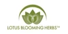 Lotus Blooming Herbs
