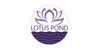 Lotus Pond