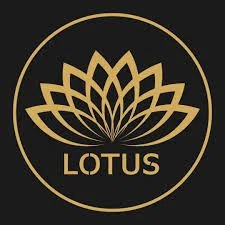 Lotus Blossom Experiences