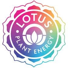 Lotus Energy Drinks