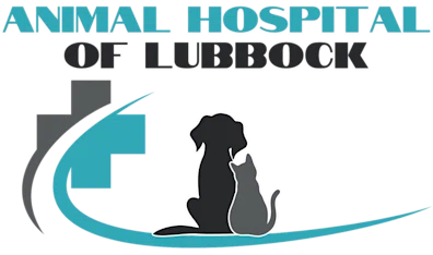 Animal Hospital of Lubbock