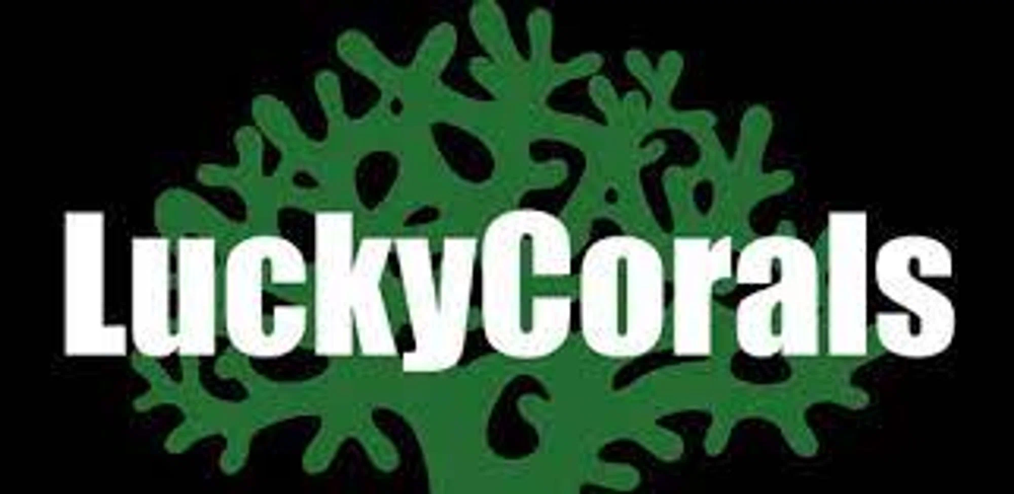 Lucky Corals