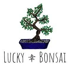 Lucky Bonsai