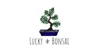 Lucky Bonsai