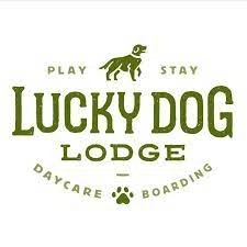 Lucky Dog Lodge