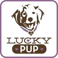 Lucky Pup in Erie