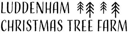 Luddenham Christmas Tree Farm