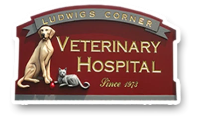 Ludwigs Corner Veterinary Hospital
