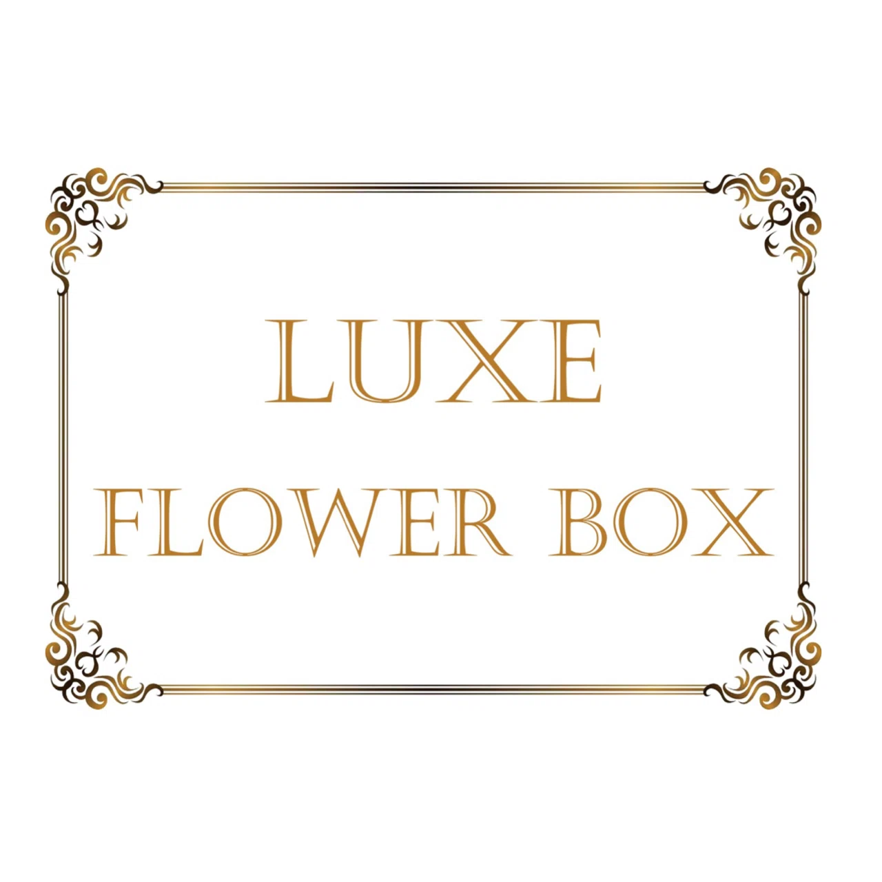 Luxe Flower Box