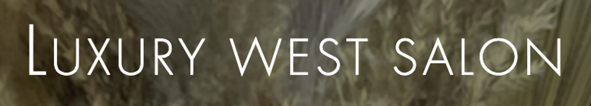 Luxury West Salon