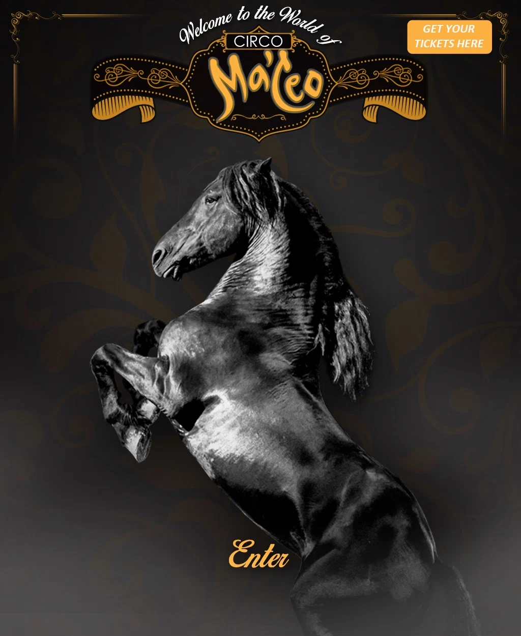 Ma'ceo Circo