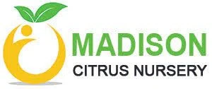 Madison Citrus Nursery