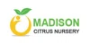 Madison Citrus Nursery