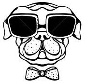 Magdogs Logo for Promo Codes