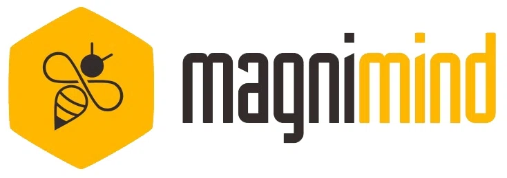 Magnimind Academy