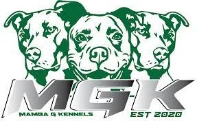 Mamba G Kennels