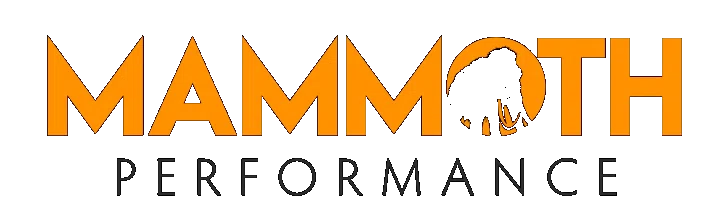 Mammoth Performance