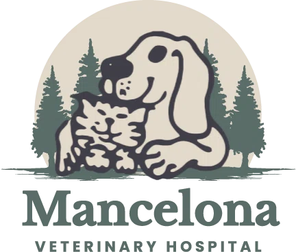Mancelona Veterinary Hospital