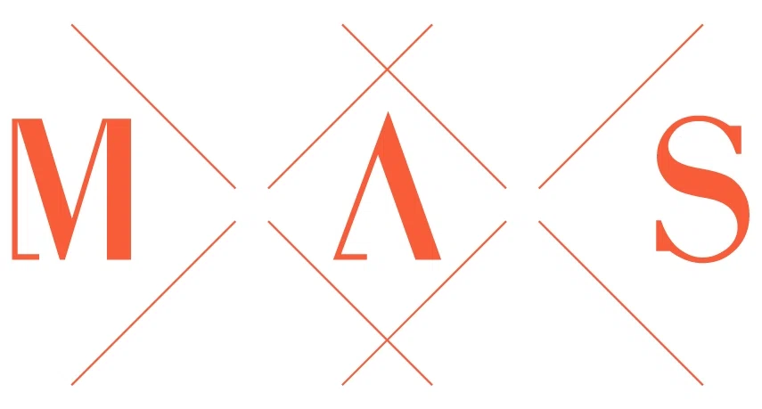 Mane Attraction Salon