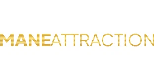 Mane Attraction Extensions