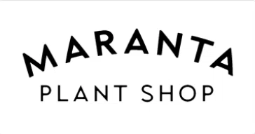 Maranta Plant Shop