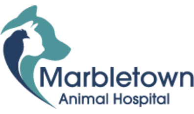Marbletown Animal Hospital