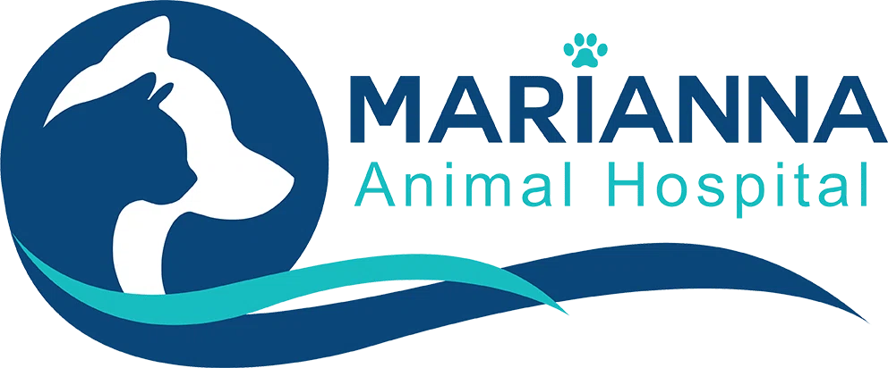 Marianna Animal Hospital