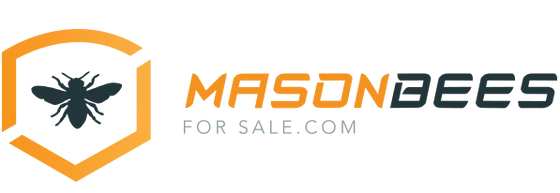 Masonbeesforsale.com