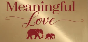 Meaningful Love