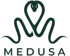 Medusa Case Logo for Exclusive Deals