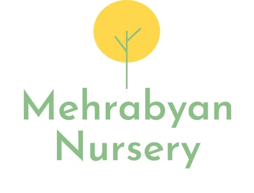 Mehrabyan Nursery