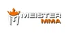 Meister
