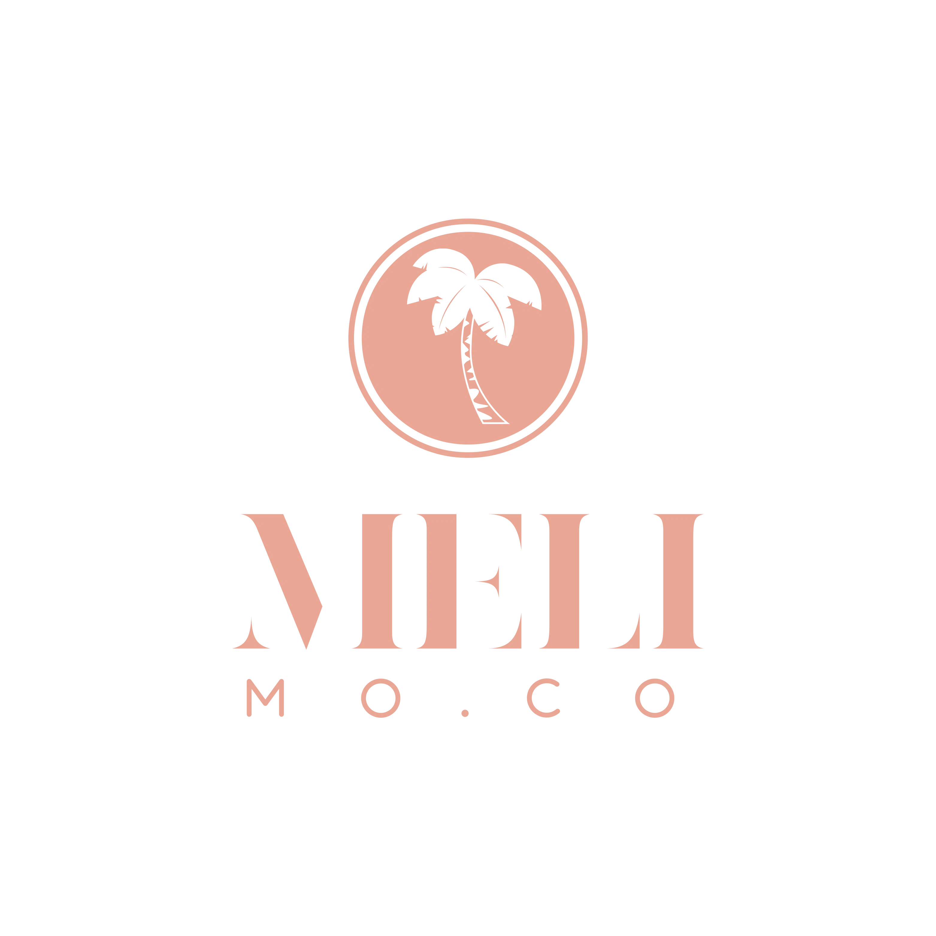 MELIMOCO