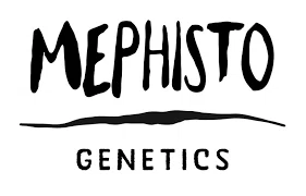 Mephisto Genetics