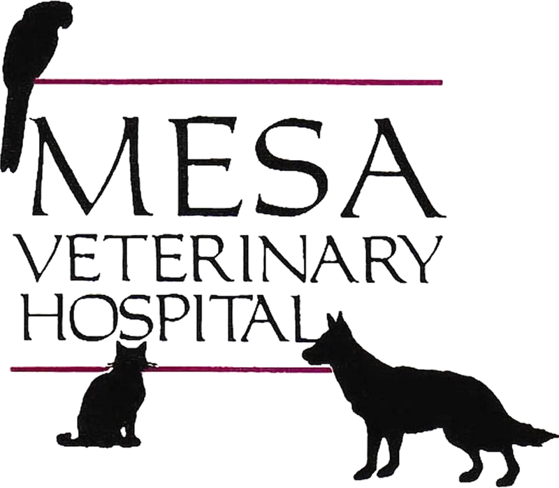 Mesa Veterinary Hospital