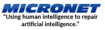 MicroNet Systems