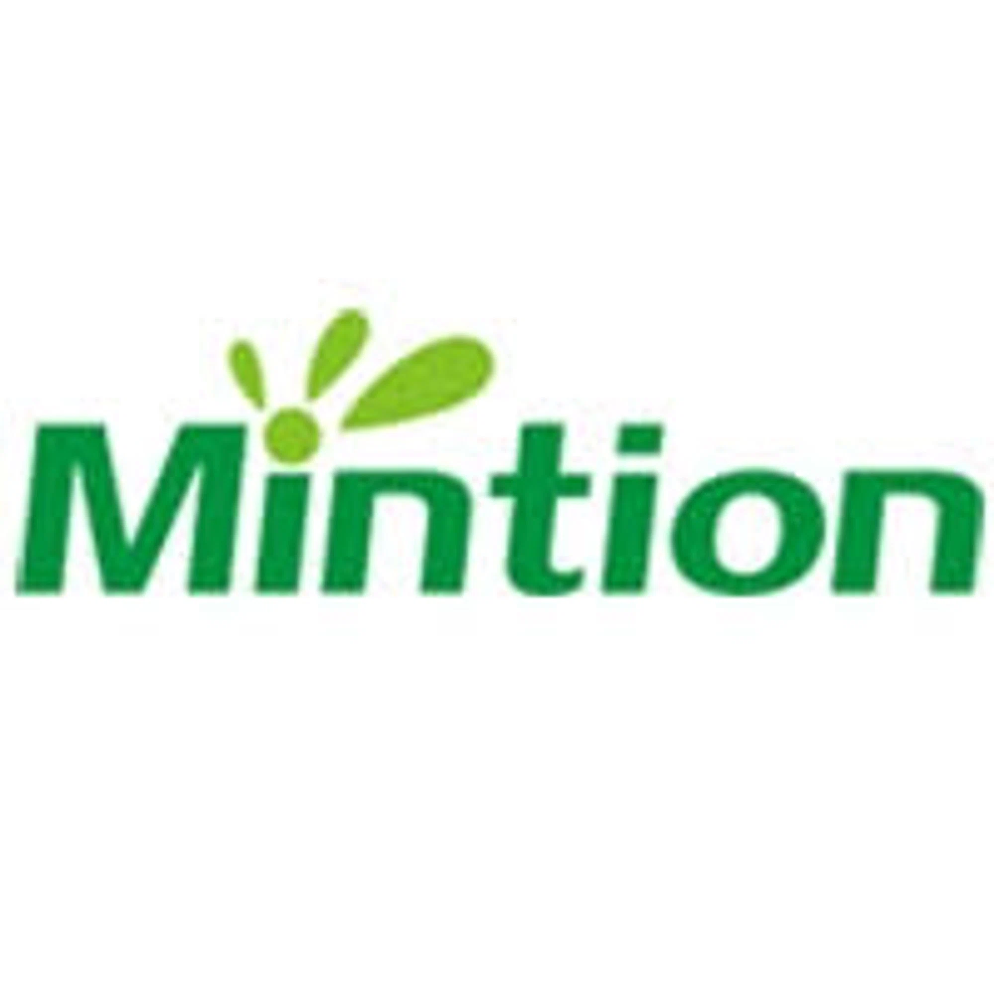 Mintion