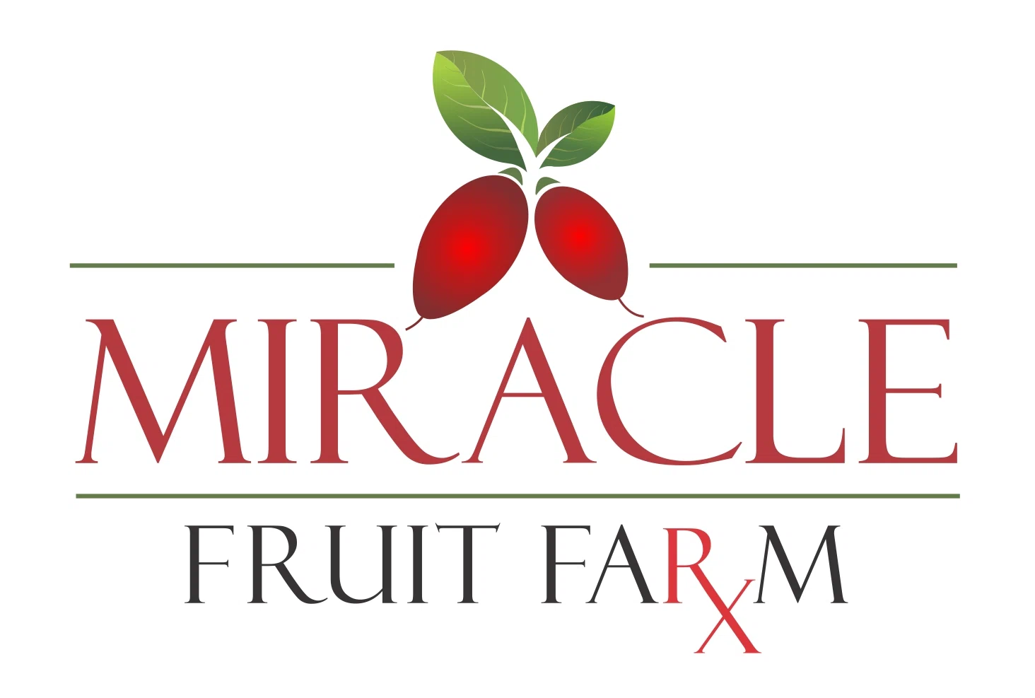 Miracle Fruit Farm
