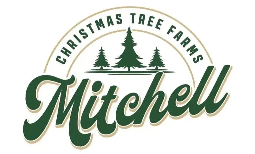 Mitchell Christmas Trees