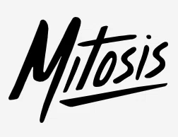 Mitosis