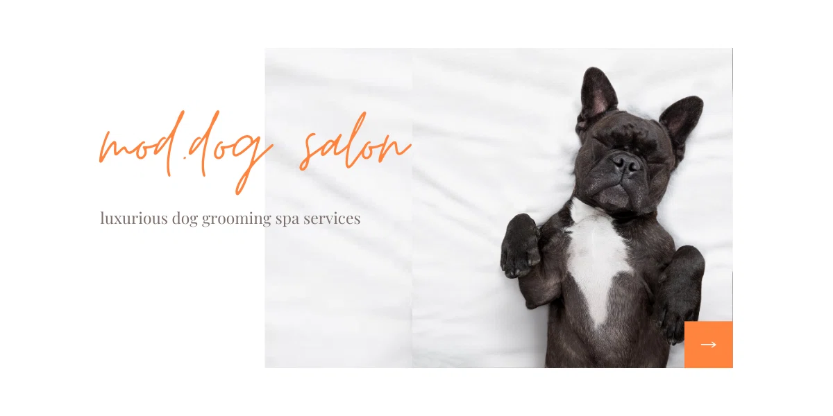 Mod Dog Salon