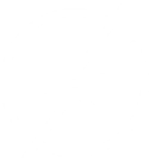 Modovolo