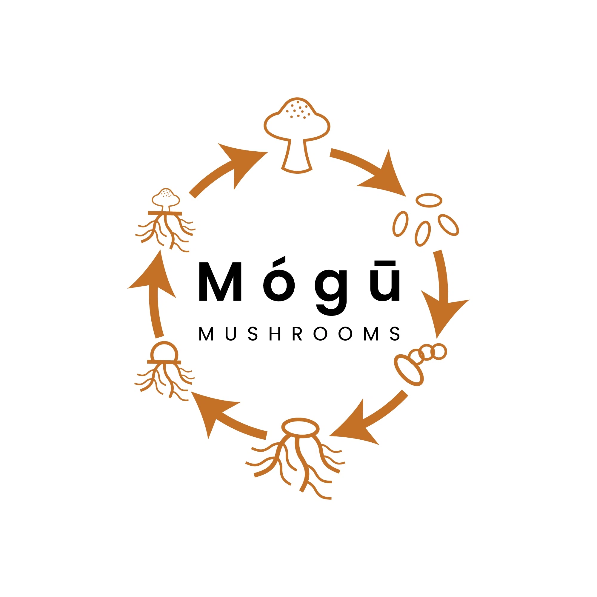 Mogu Mushrooms