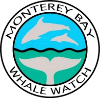 Monterey Bay Whale Watch