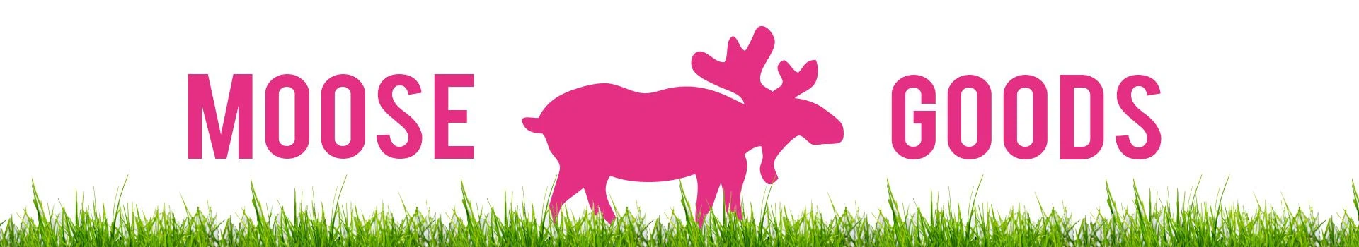 The Moose On The Loose