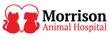 Morrison Animal Hospital