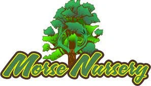 Morse Nursery