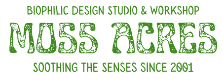 Moss Acres Biophilic Studio & Workshop